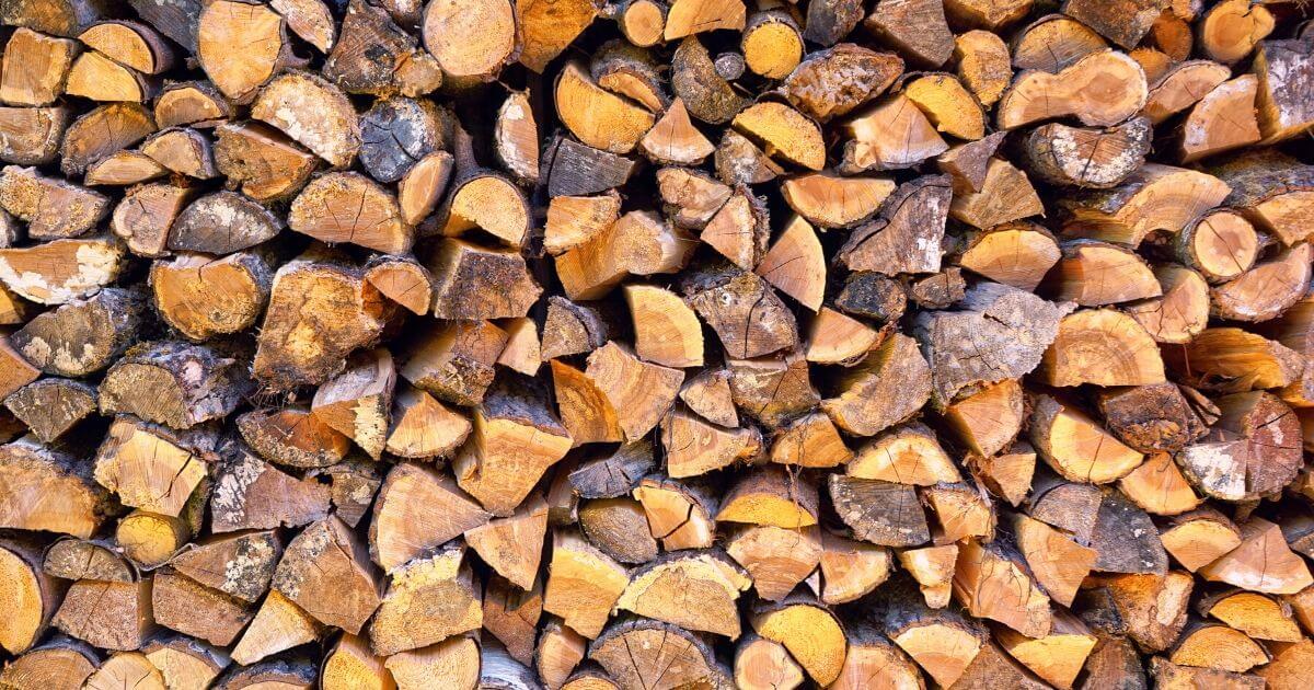Temps de séchage du bois de chauffage, comment ça marche