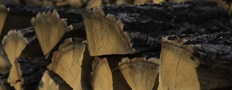 Combien de temps peut-on conserver des bûches de bois de chauffage ?