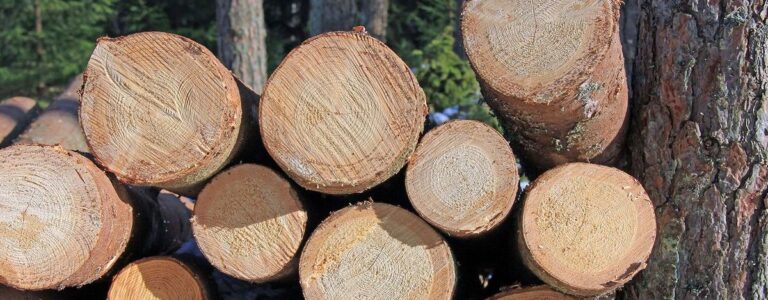 Comment bâcher bois de chauffage? Les astuces à suivre