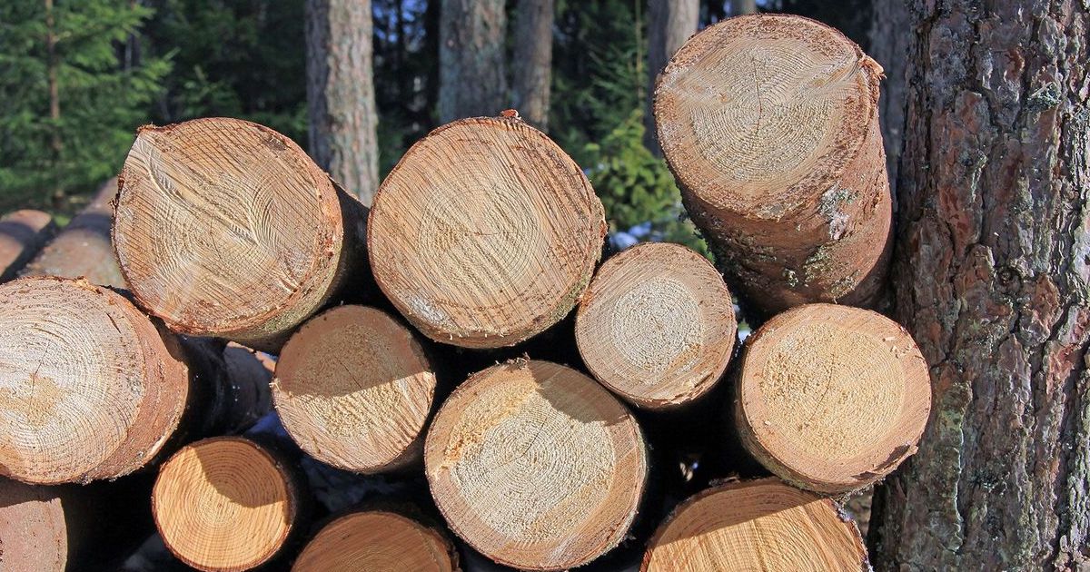 Comment faire son propre de bois de chauffage — free download
