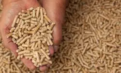 Comment sont fabriqués les granulés de bois ?
