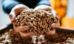 Prix des pellets en 2026 : tarifs actuels et prévisions